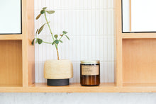 画像をギャラリービューアに読み込む, P.F.Candle - 7.2oz Soy Wax Candle(classicline)